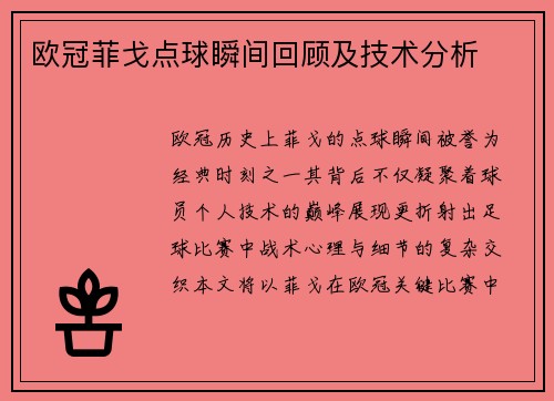 欧冠菲戈点球瞬间回顾及技术分析